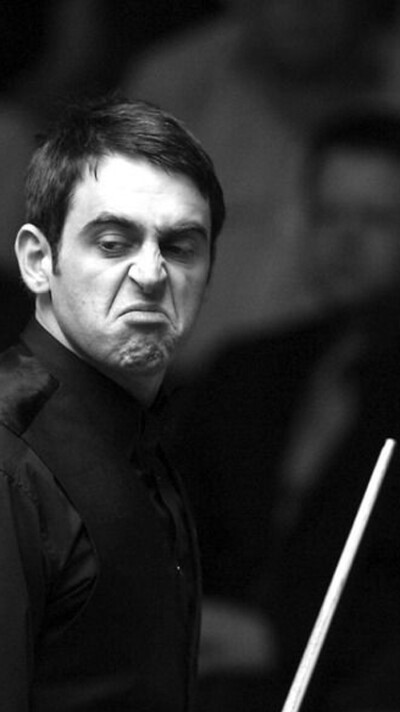 的贡献才是 的贡献才是