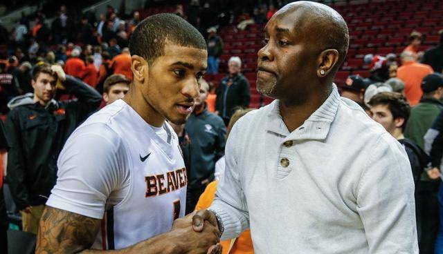 在他效力意 在他效力意