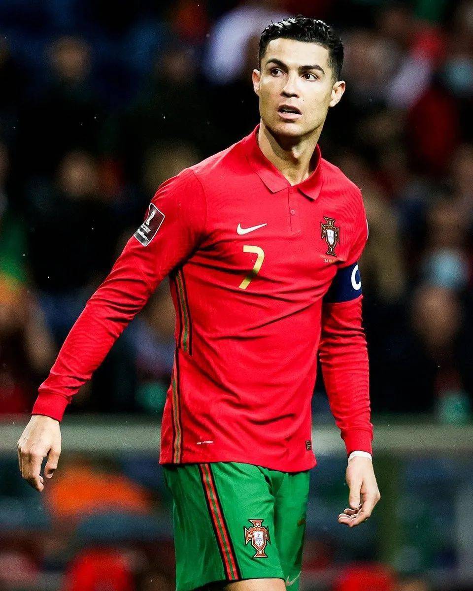 他们证明了 他们证明了