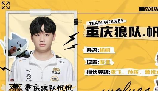 LGD大鹅